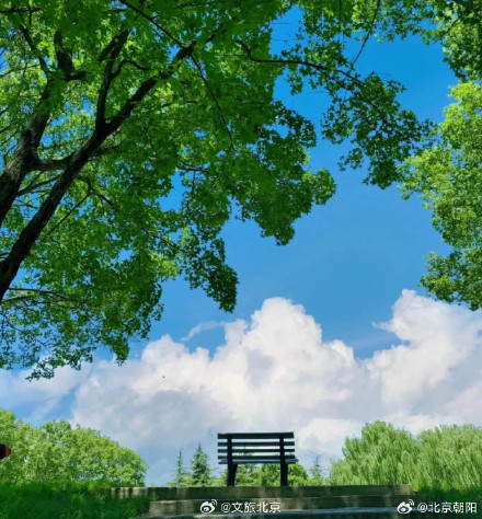 朝阳这处赏花顶流超出片！必拍必逛点位来了