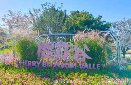 朝阳这处赏花顶流超出片！必拍必逛点位来了