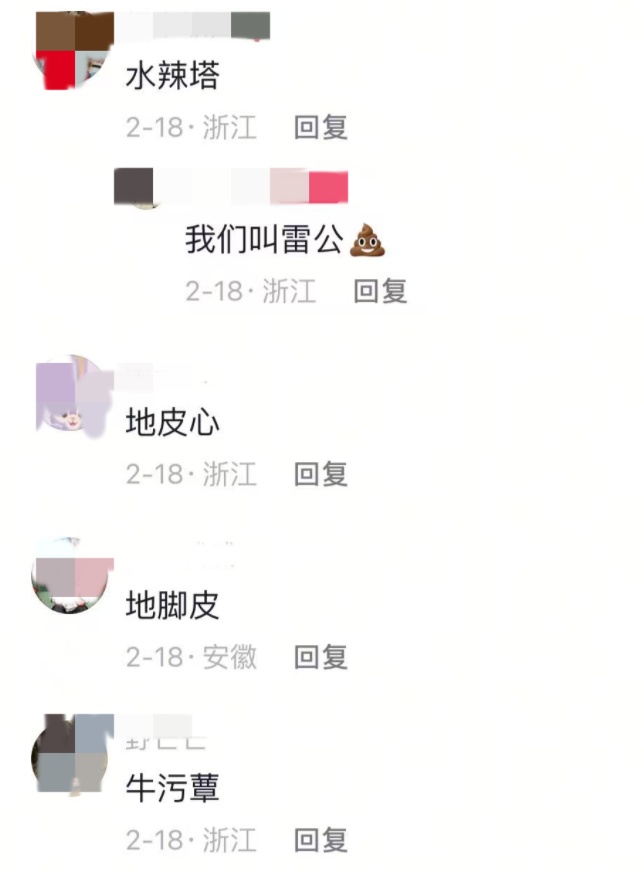 雨后才会出现，不少杭州人出门捡，有人蹲在地上一拣就是一桶