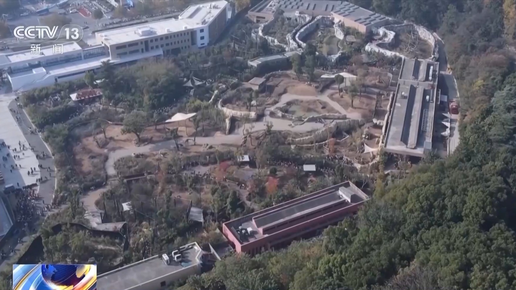 中小学春假怎么过？南京这些举措让假期快乐又充实