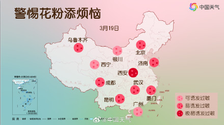 敏感人群注意！各地花粉浓度进入高峰期 这份防护攻略请收好