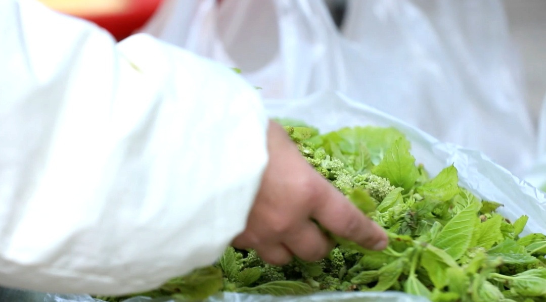 春季尝鲜，野菜正当“食”！注意！别让“尝鲜”变“尝险”