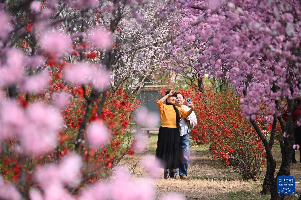 踏青赏花享春光