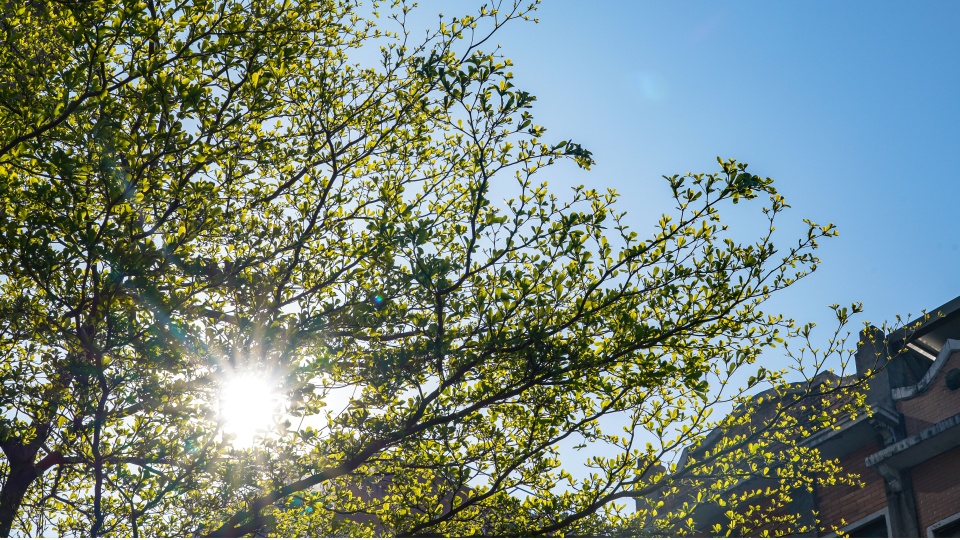 广东人狂喜：今年可能没有回南天