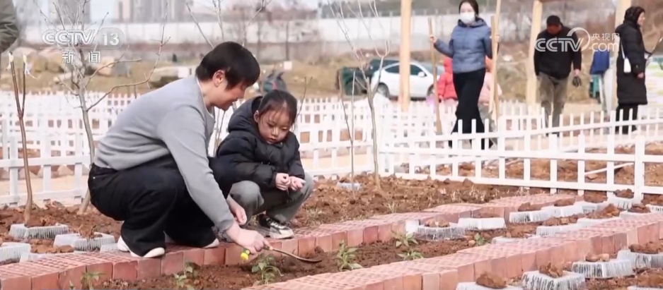 闲置农田变身“共享菜园” 现实版“开心农场”成为推动城乡融合新载体 闲置农田变身“共享菜园” 现实版“开心农场”成为推动城乡融合新载体