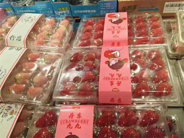 还没出正月，冰城散装小果草莓就跌破了5元/斤