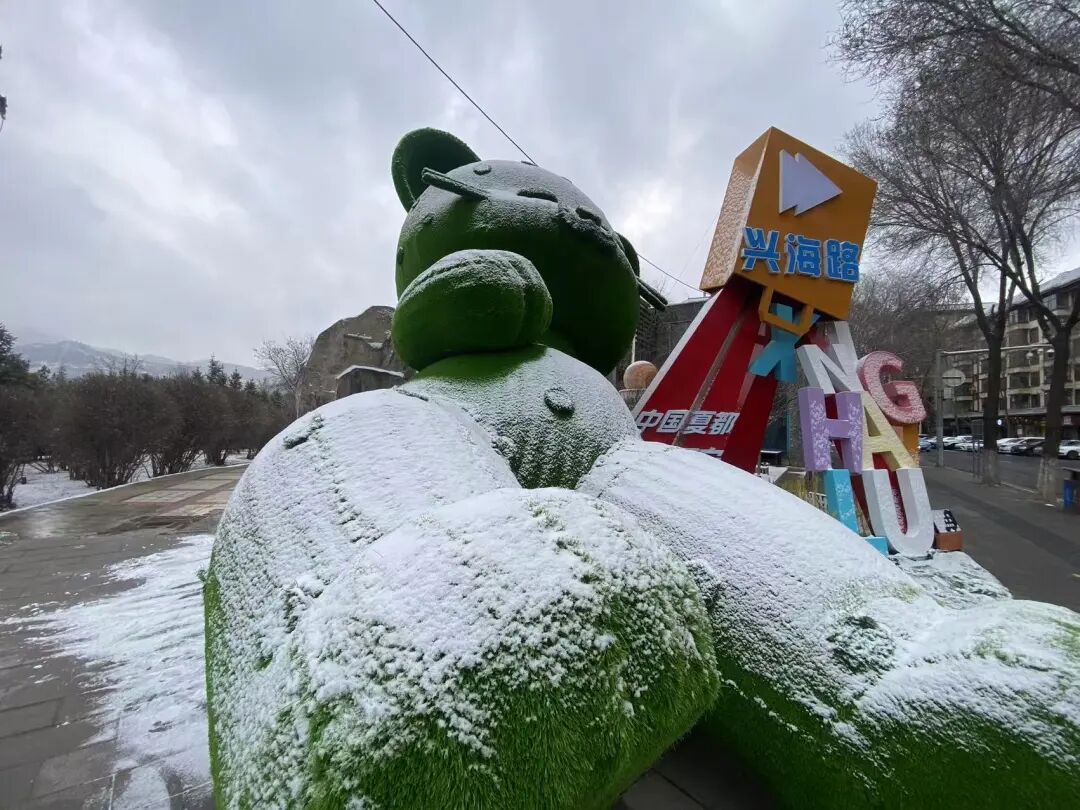 今天,雪中的西宁美成这样...... 今天,雪中的西宁美成这样......
