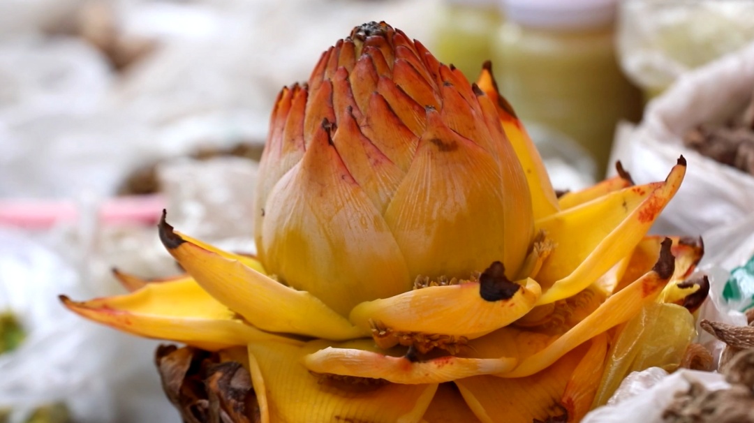 春季尝鲜，野菜正当“食”！注意！别让“尝鲜”变“尝险”