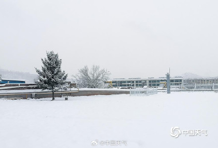 青海西宁迎降雪 大地一片银白