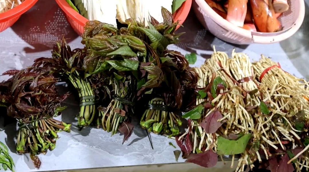 春季尝鲜，野菜正当“食”！注意！别让“尝鲜”变“尝险”