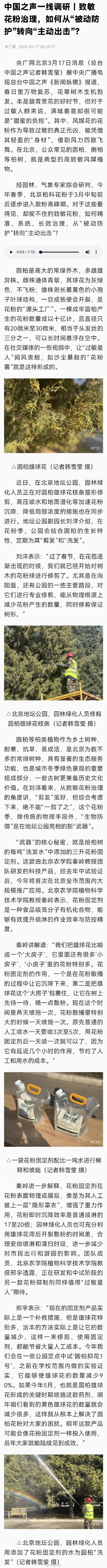 北京将迎柏科花粉浓度高峰