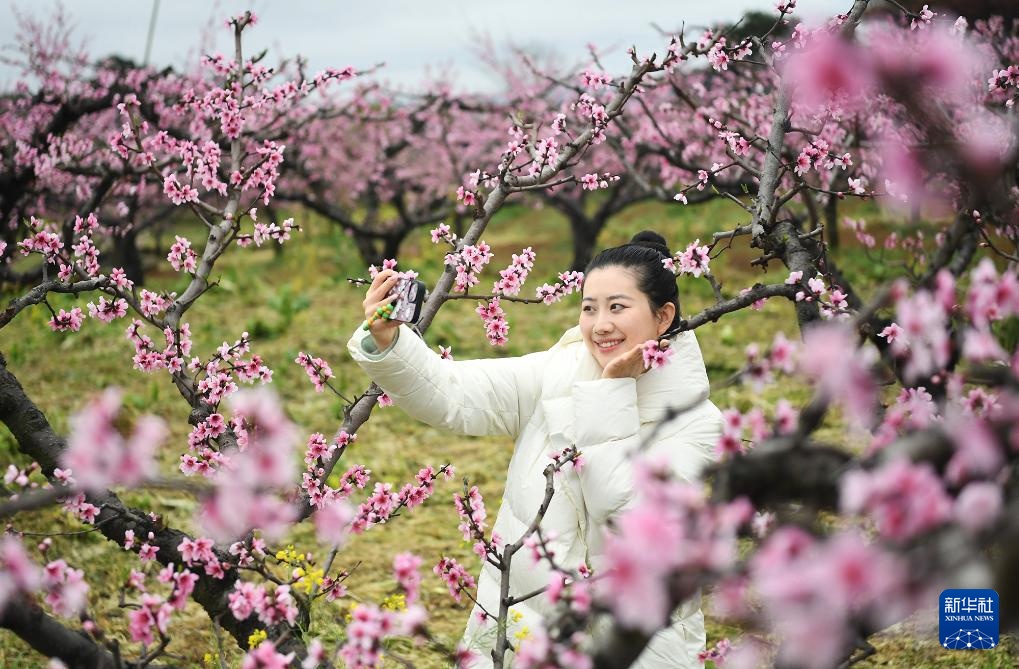 踏青赏花享春光