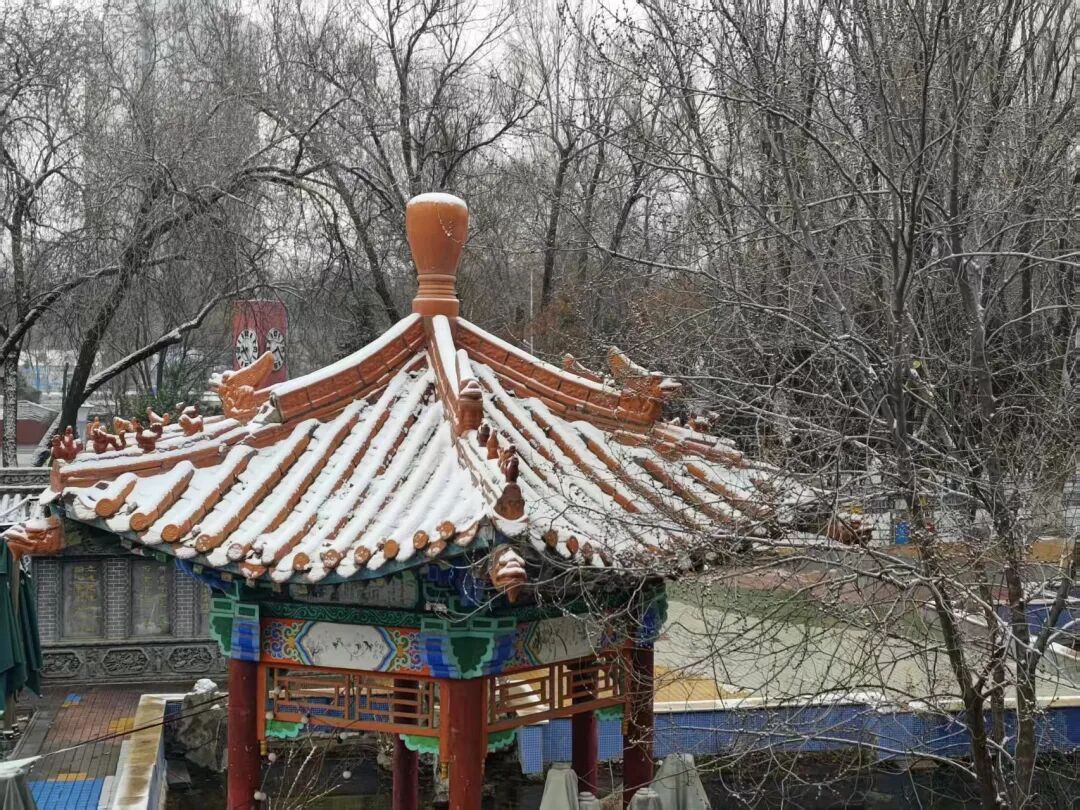 今天,雪中的西宁美成这样...... 今天,雪中的西宁美成这样......