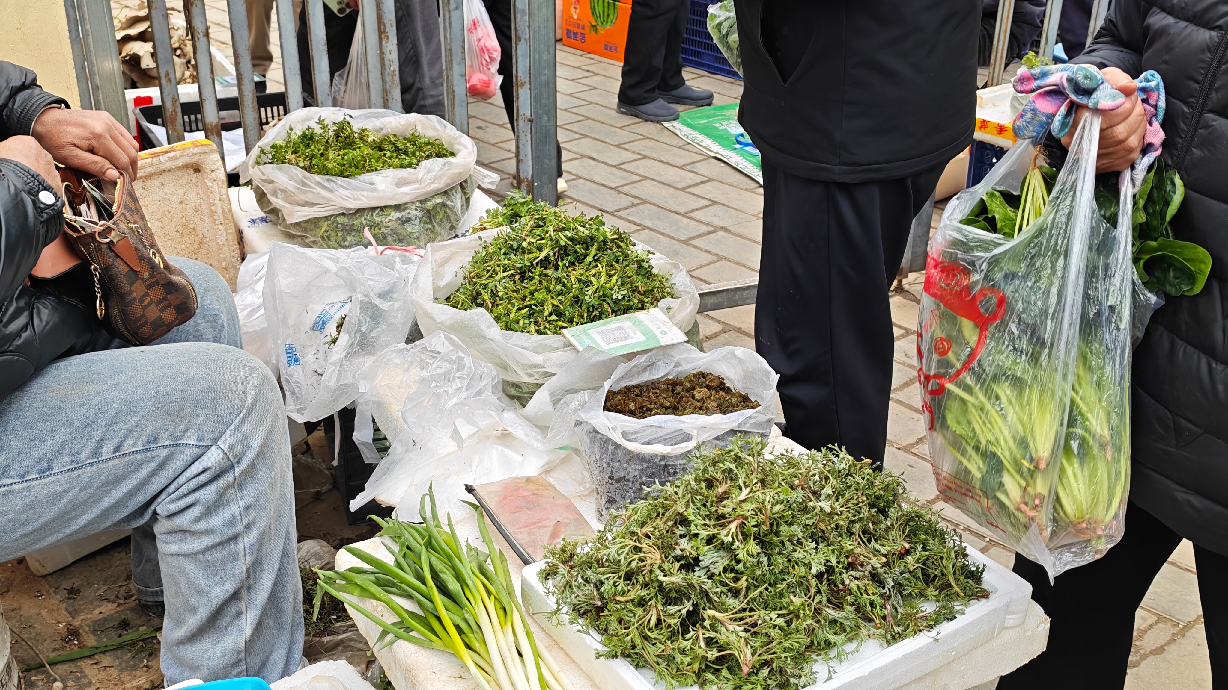 甘肃灵台:时令野菜抢“鲜”上市 舌尖品味春日经济 甘肃灵台:时令野菜抢“鲜”上市 舌尖品味春日经济