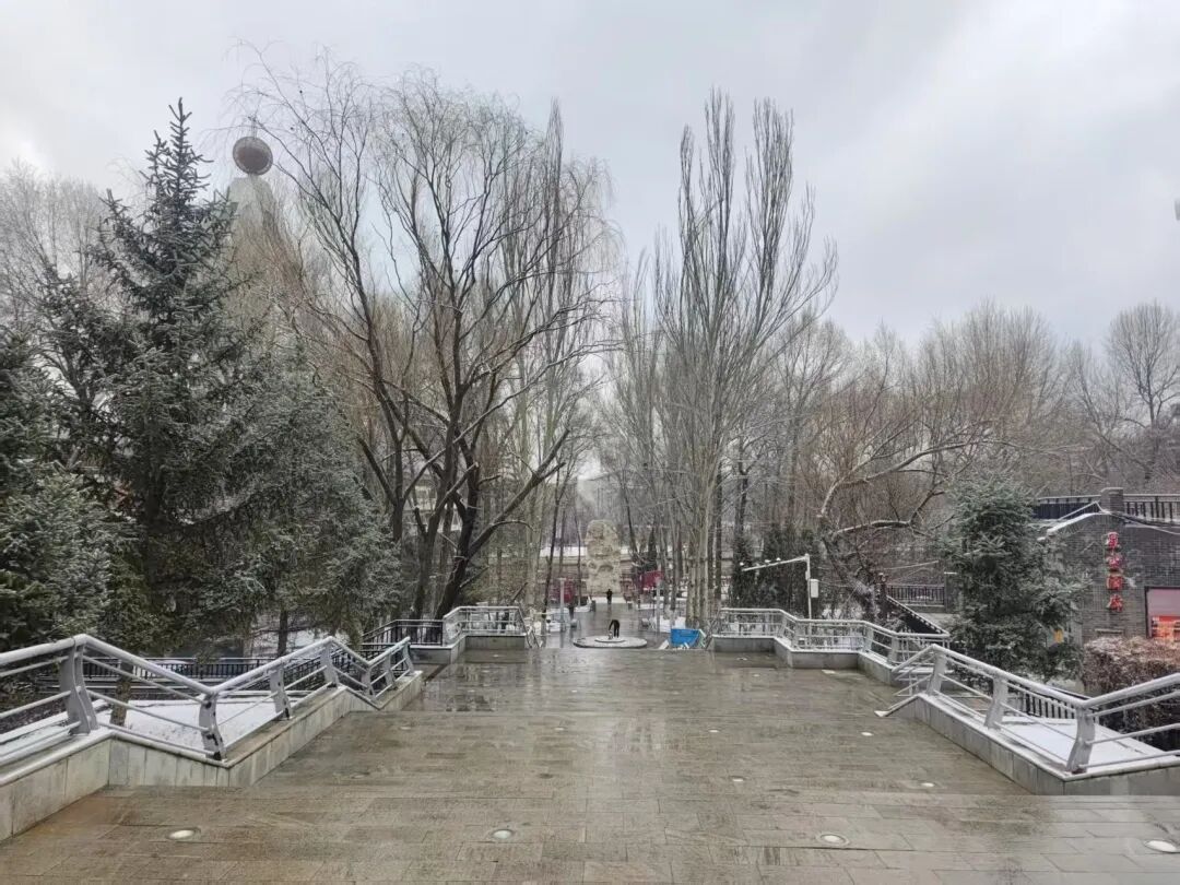 今天,雪中的西宁美成这样...... 今天,雪中的西宁美成这样......