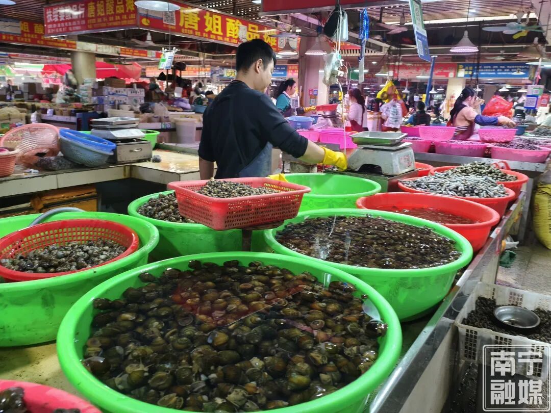 一口“鲜”掉眉毛！南宁青壳螺蛳抢“鲜”上市，价格很亲民