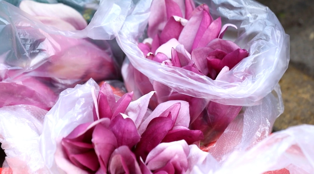 春季尝鲜，野菜正当“食”！注意！别让“尝鲜”变“尝险”