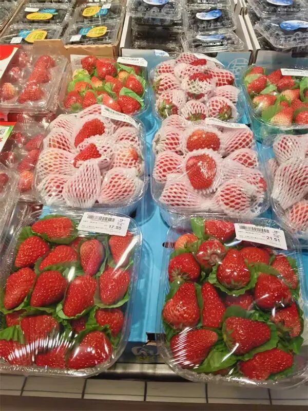 还没出正月，冰城散装小果草莓就跌破了5元/斤