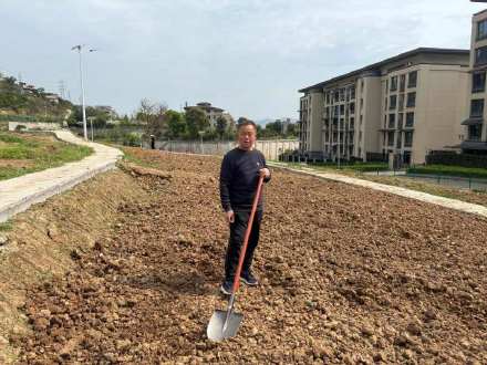 缙云山下种块地是什么体验？北碚推出“农田出租”引发居民热捧