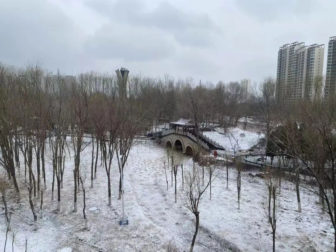 今天,雪中的西宁美成这样...... 今天,雪中的西宁美成这样......