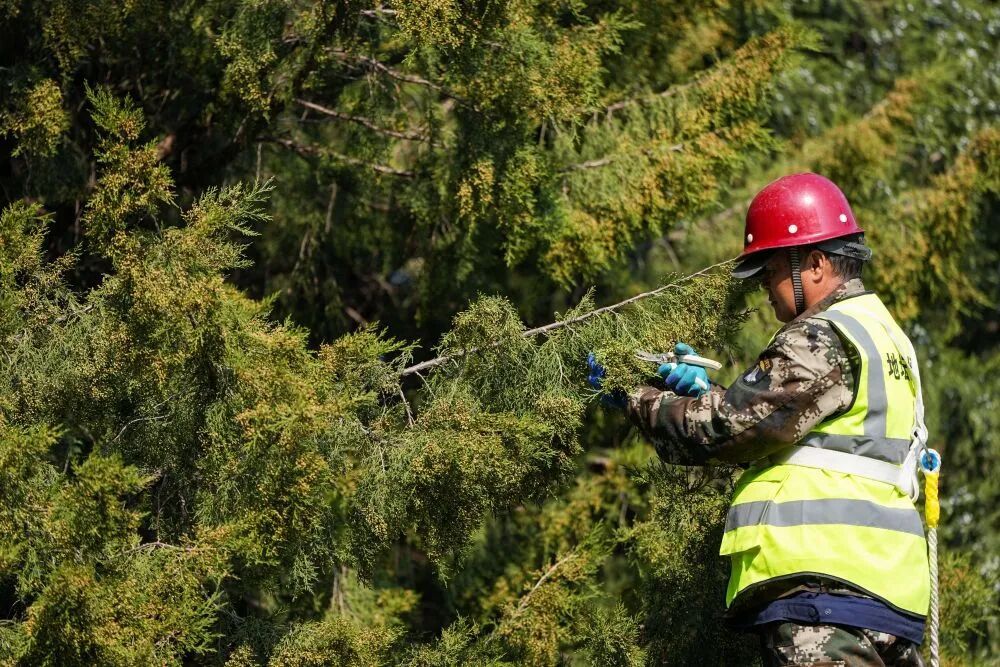 花粉季又来了，怎么防？