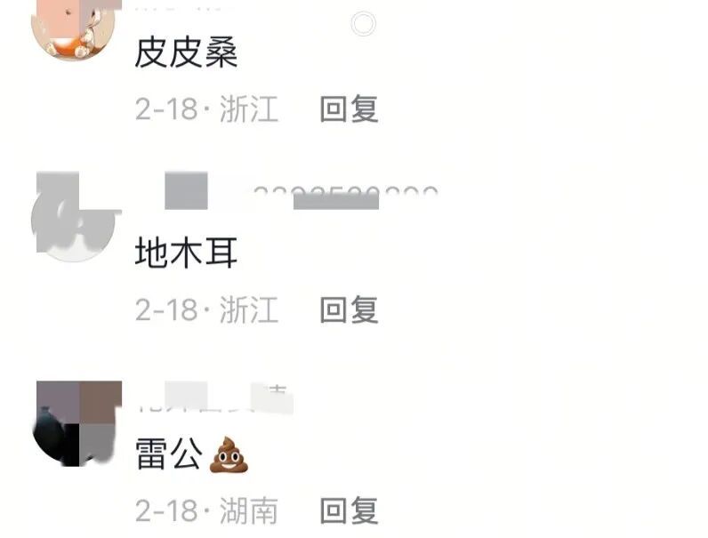 雨后才会出现，不少杭州人出门捡，有人蹲在地上一拣就是一桶