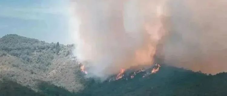 航拍下，超1500平方米农田被烧，纵火者正在追查！春季防火请注意