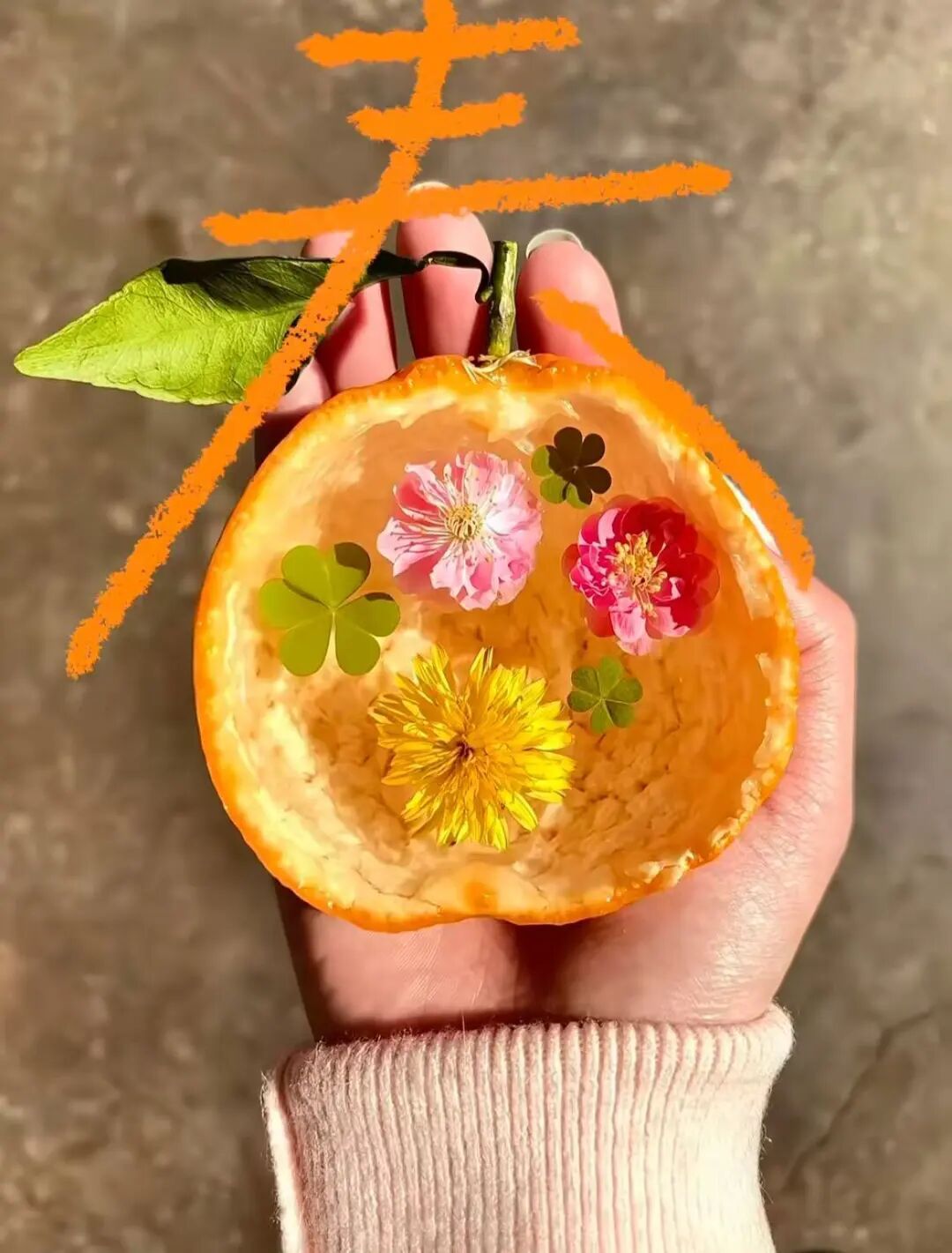 春天，我和你“拼”了！“可以看看你们手机里的春天吗？”