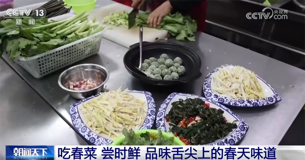 春季特色体验澎湃“春日经济”活力 “赏花+”激活新业态带动文旅消费持续升温