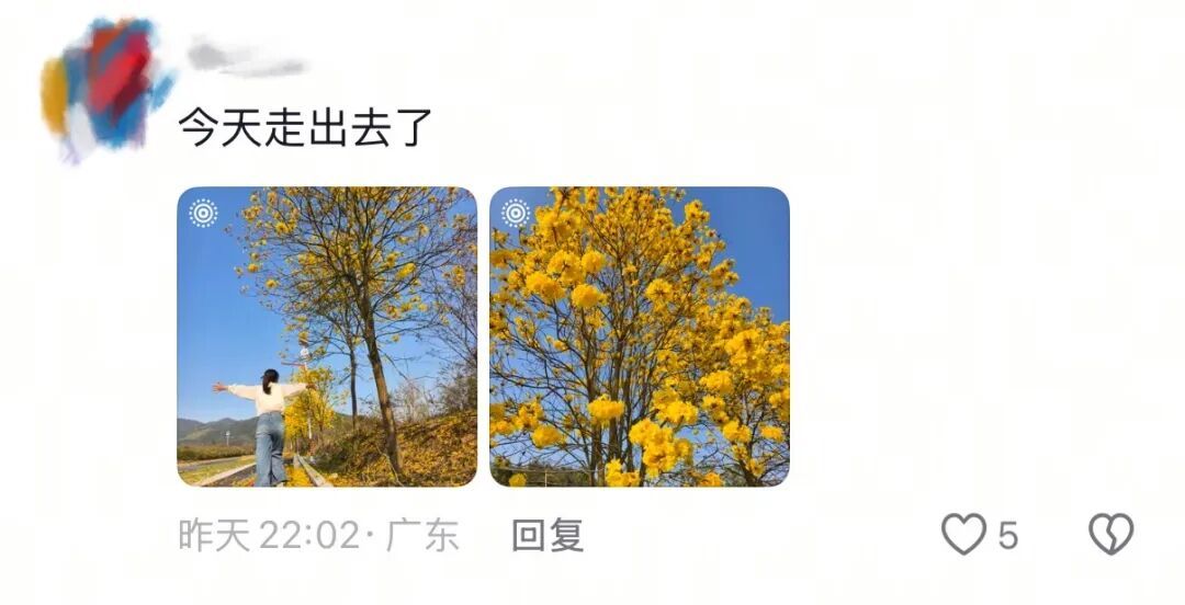 春天，我和你“拼”了！“可以看看你们手机里的春天吗？”