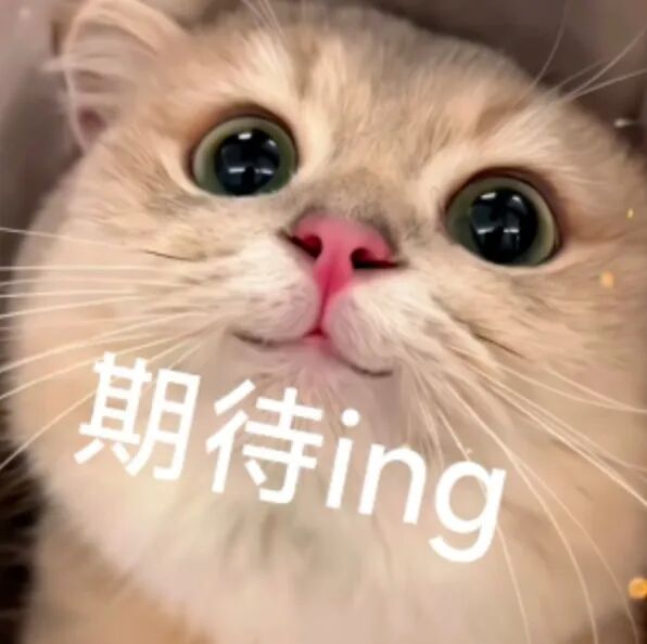 春天，我和你“拼”了！“可以看看你们手机里的春天吗？”