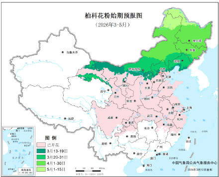 周知！花粉进入高峰期