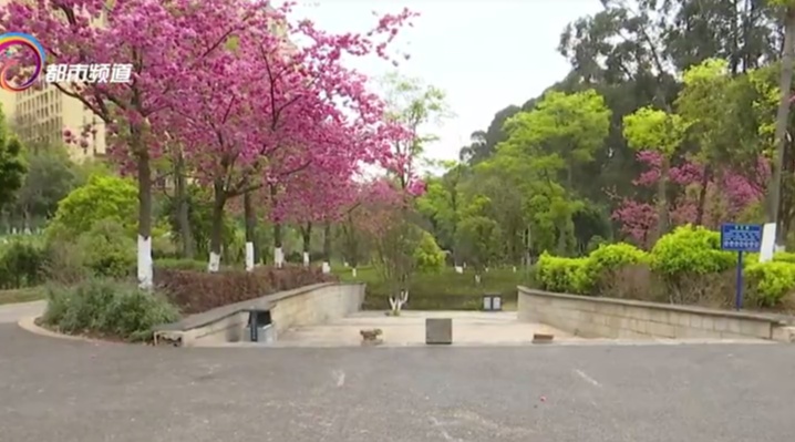 远看是斜坡，近看是陷阱！司机当场“骑虎难下”