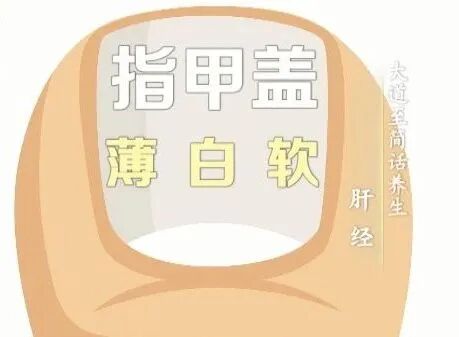 肝不好的人，身体这两处会“说话”！春季养肝=养命，建议你做好这5件事