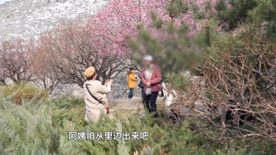 北京城管在身边：春日赏花正当时 首都城管全力做好文明游园执法保障