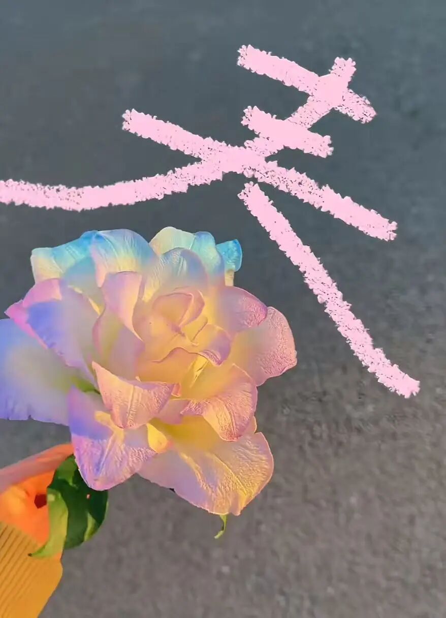 春天，我和你“拼”了！“可以看看你们手机里的春天吗？”