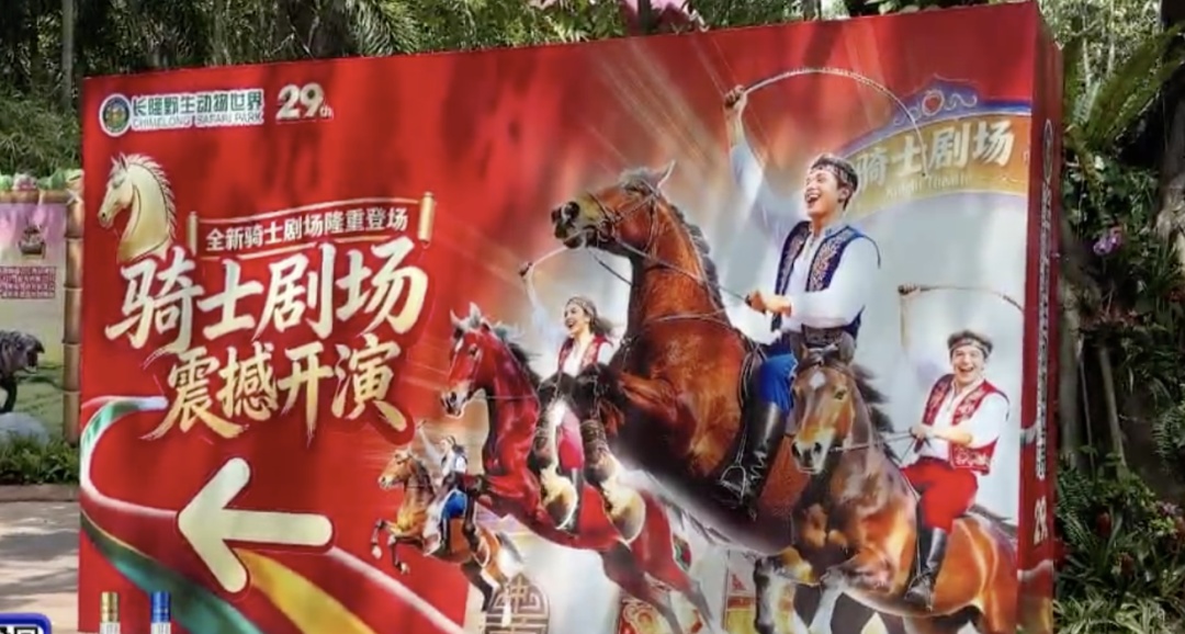 广州长隆野生动物世界表演出意外，坠马被拖行女骑手回应：我很好，谢谢大家关心