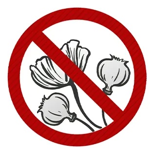 江苏扬州警方查处两起非法种植毒品原植物案件