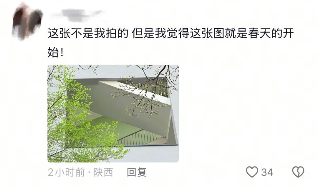 春天，我和你“拼”了！“可以看看你们手机里的春天吗？”