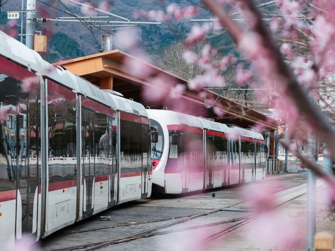 收藏！北京这个三月乘着“最美西郊线”穿越花海，最佳乘车时间和路线——