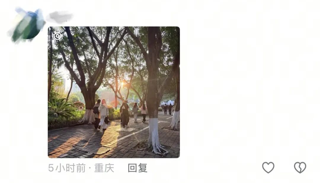 春天，我和你“拼”了！“可以看看你们手机里的春天吗？”