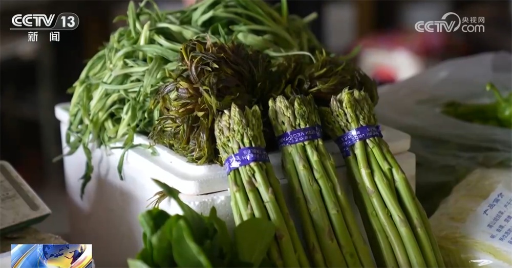 骆驼产羔、投放蟹苗、紫菜丰收……希望的田野一派繁忙 一起感受“春天的希望”