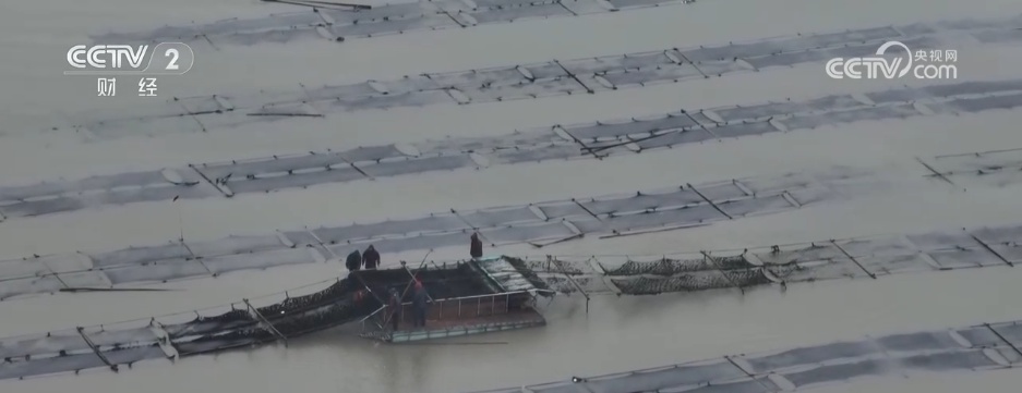 春日“舌尖消费”持续升温 限定美味抢“鲜”上市