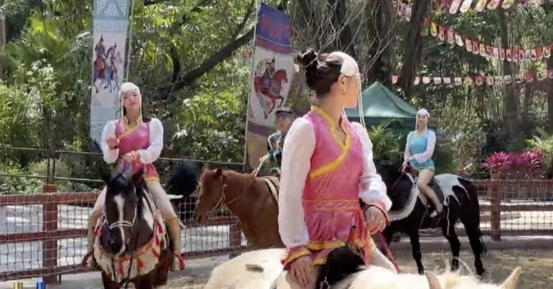 广州长隆野生动物世界表演出意外，坠马被拖行女骑手回应：我很好，谢谢大家关心