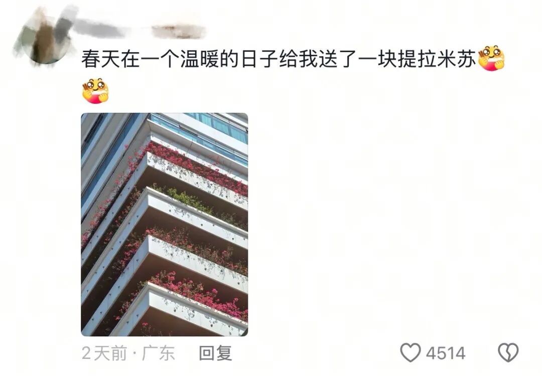 春天，我和你“拼”了！“可以看看你们手机里的春天吗？”