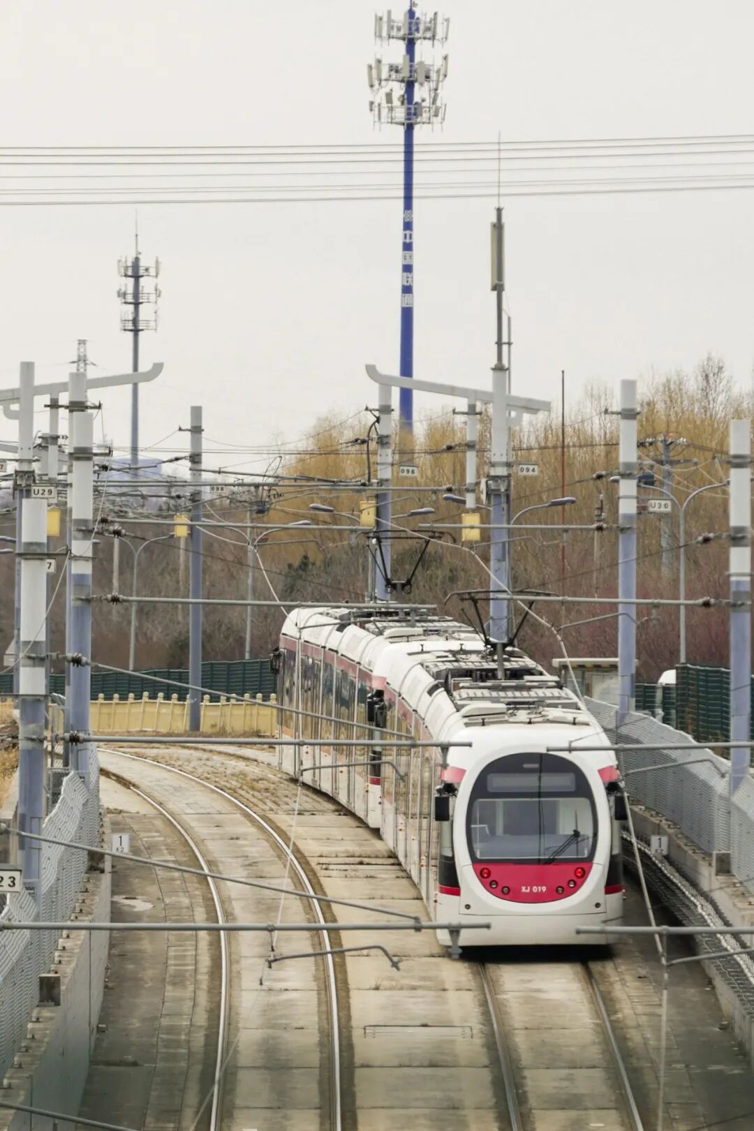 收藏！北京这个三月乘着“最美西郊线”穿越花海，最佳乘车时间和路线——