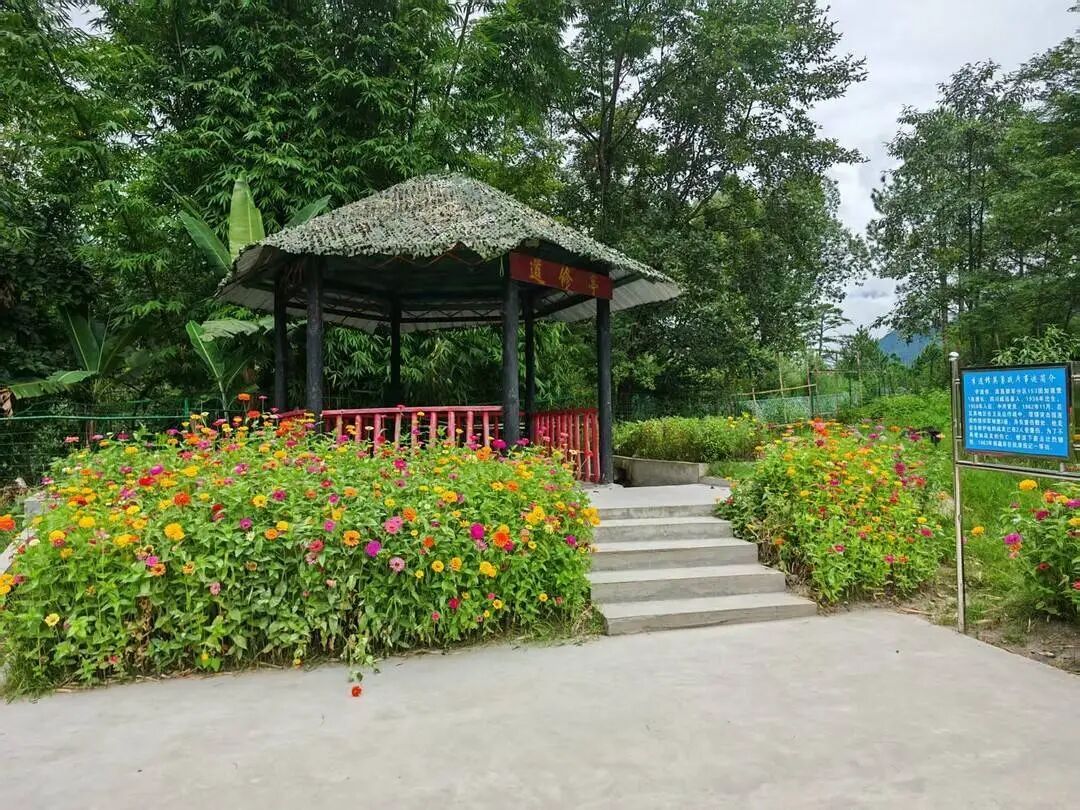 不忍战友为救自己出现伤亡，毅然滚下山崖……81岁妹妹苦等60载，才知哥哥为何牺牲