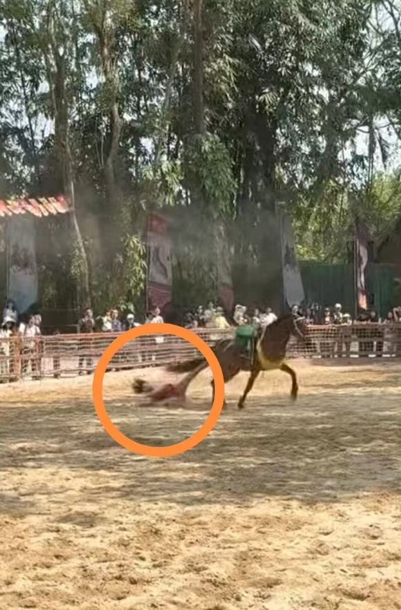 广州长隆野生动物世界表演出意外，坠马被拖行女骑手回应：我很好，谢谢大家关心