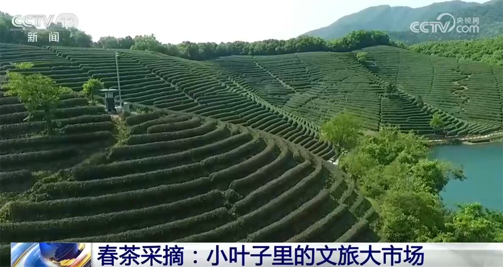 春季特色体验澎湃“春日经济”活力 “赏花+”激活新业态带动文旅消费持续升温