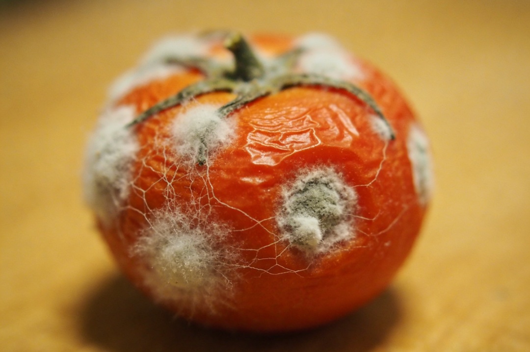 你会买保质期太长的东西吗？时间长≠加了超多防腐剂！